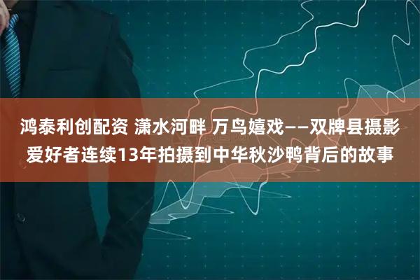 鸿泰利创配资 潇水河畔 万鸟嬉戏——双牌县摄影爱好者连续13年拍摄到中华秋沙鸭背后的故事
