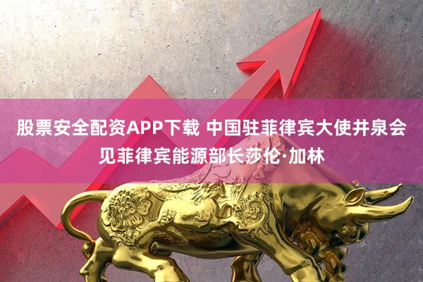 股票安全配资APP下载 中国驻菲律宾大使井泉会见菲律宾能源部长莎伦·加林